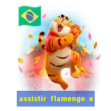 assistir flamengo e inter futemax